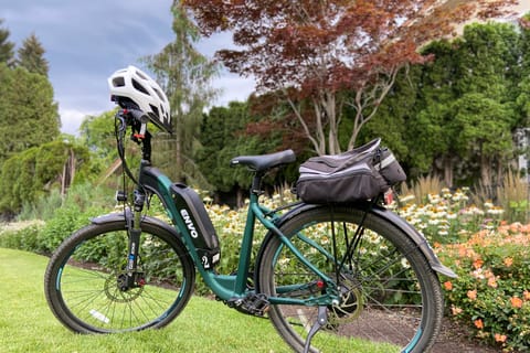 Kelowna: Wine Tasting by E-bike, Smartphone Guide & Lunch