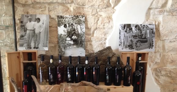 Weinverkostung in der apulischen Landschaft!