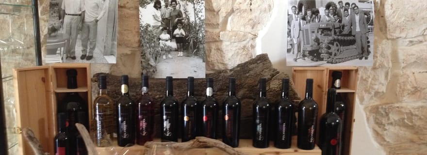 Dégustation de vins dans la campagne des Pouilles !