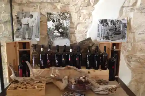 Degustazione di vini nella campagna pugliese!