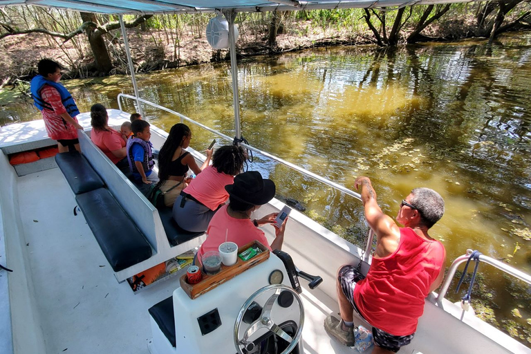 Boat Tour of Louisiana Bayous Near New Orleans