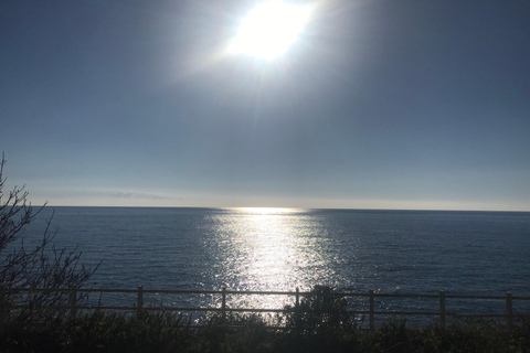 Excursión exclusiva de un día a las Cinque Terre en ferry con parada en Pisa