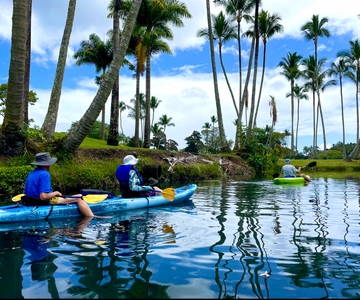 Hilo: Wailoa River to King Kamehameha Guided Kayaking Tour