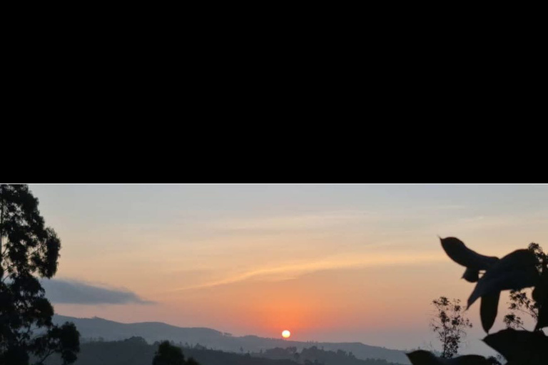 Addis Ababa: Sunrise Coffee Ritual & Hidden Villages Tour