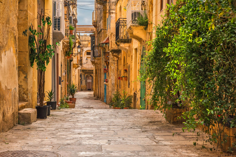 Valletta: Guidad stadsvandring med valfri katedralturRundtur med engelsktalande guide (inklusive besök i katedralen)