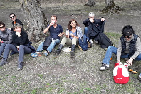 From Yerevan: 5-day Private Guided Hiking & Cultural Tour