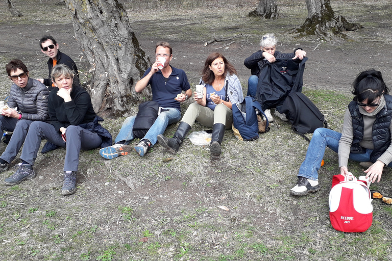 From Yerevan: 5-day Private Guided Hiking & Cultural Tour