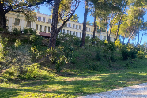 Ancient Olympia: Agrotourism tour, honey, wine, and oil tasting.