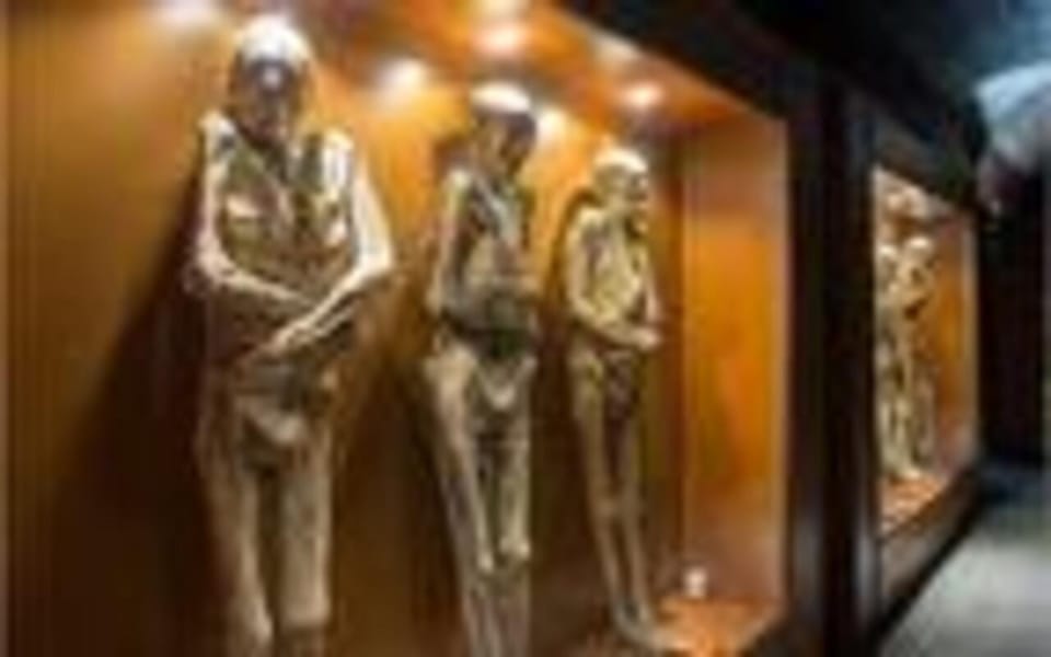 Luxor Luxor Museum And Mummification Museum Private Tour GetYourGuide