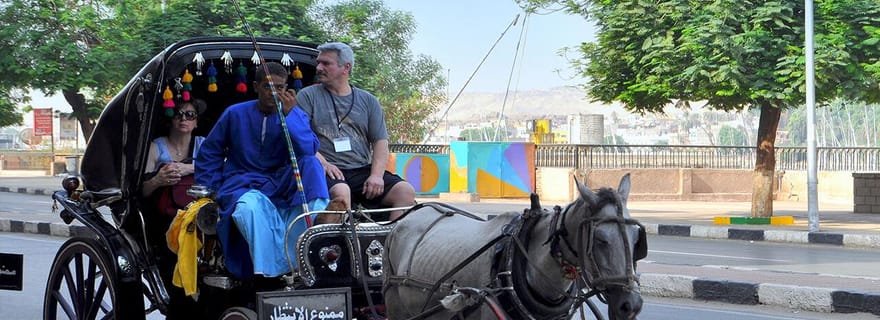 Louxor : Visite privée de la ville de Louxor en calèche
