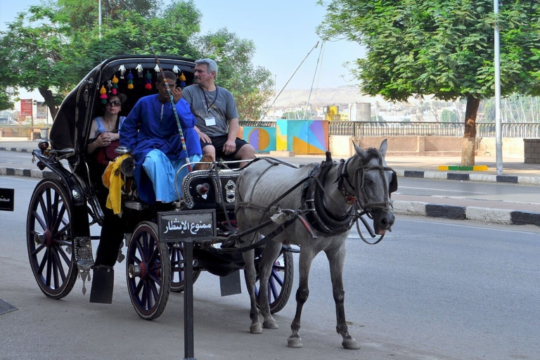 Luxor : Luxor City Tour By Horse Carriage