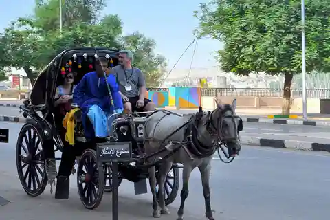 Louxor : Visite privée de la ville de Louxor en calèche
