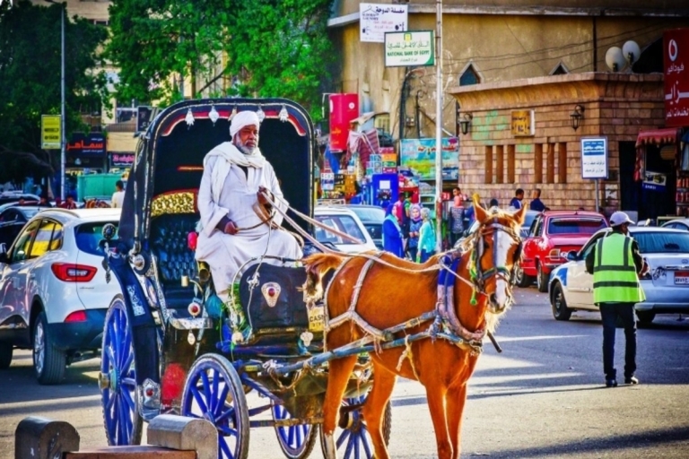 Luxor : Visita de Luxor en coche de caballos