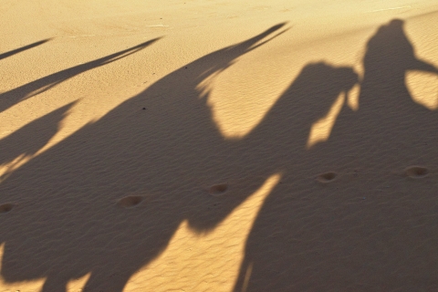 Au départ de Marrakech : Circuit de 3 jours dans le désert à Fès