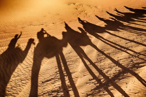 Agadir: Camel Ride Tour with Tea and Dinner Option