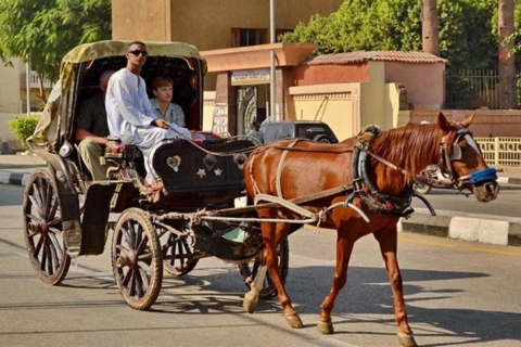Aswan: Aswan City Tour per paardenkoets