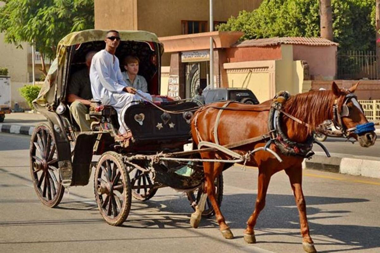 Aswan: Private Horse &amp; Carriage City Tour with Hotel Pickup