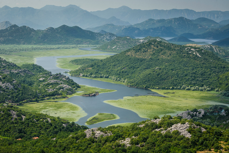 From Kotor, Budva, Tivat: Skadar Lake Boat Tour &amp; Wine