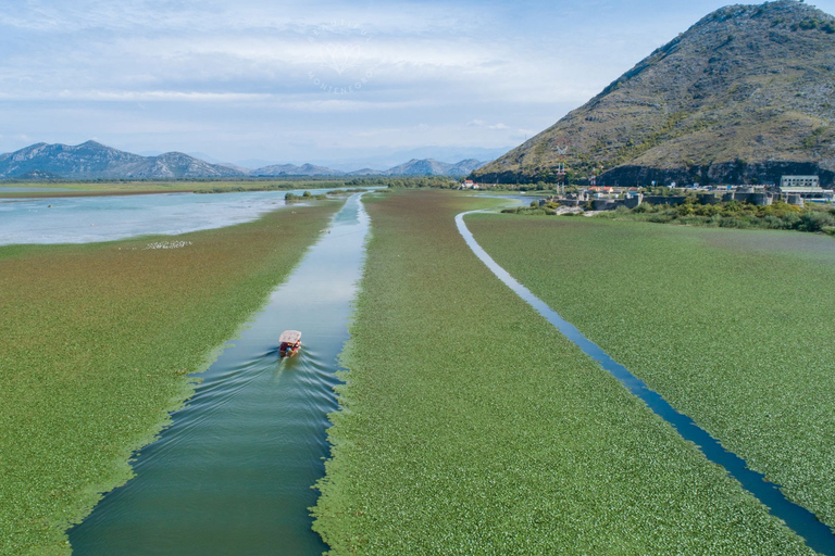 From Kotor, Budva, Tivat: Skadar Lake Boat Tour &amp; Wine