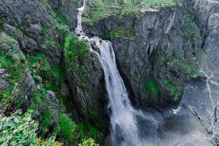 Z Eidfjord: Wycieczka przyrodnicza z przewodnikiem do wodospadu VøringfossenZ Eidfjord: wycieczka przyrodnicza do wodospadu Vøringfossen z przewodnikiem