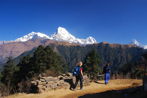 Mardi Himal Base Camp Yoga Trek 7-Day