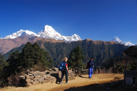 Mardi Himal Base Camp Yoga Trek 7 Jours