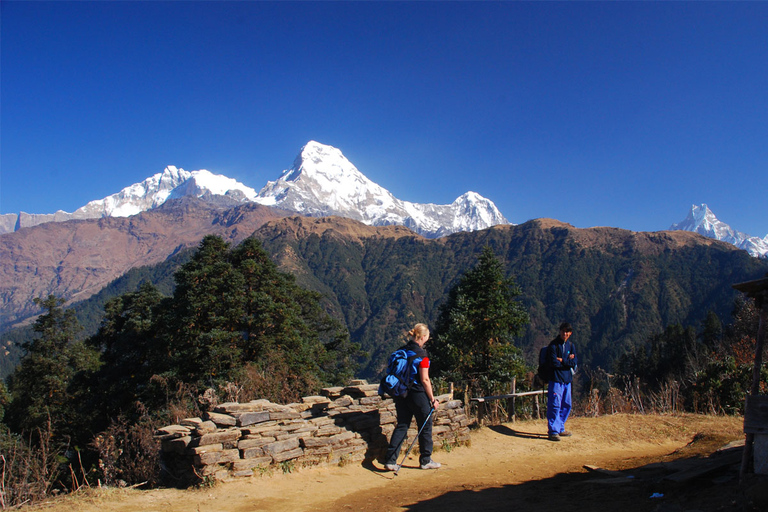 Mardi Himal Base Camp Yoga Trek 7-Day
