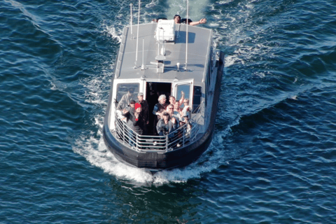 Hoonah: Icy Strait Whale Watch with Drone Filmography