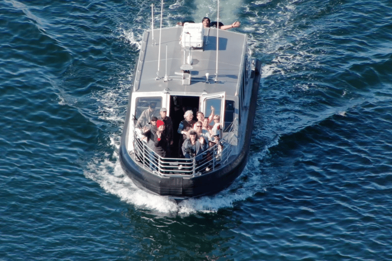 Hoonah: Icy Strait Whale Watch with Drone Filmography