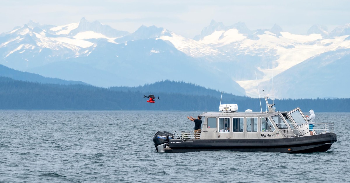 Hoonah Icy Strait Whale Watch with Drone Filmography GetYourGuide