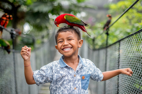 Bali Bird Park: biglietto di ingresso giornalieroBiglietto di 1 giorno per i visitatori internazionali