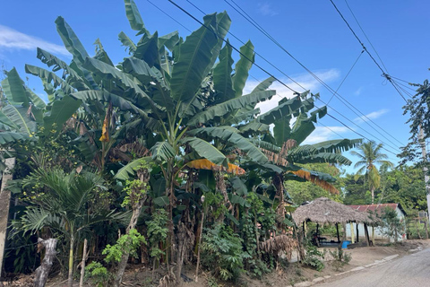 Puerto Plata: El Gallo Ecolodge Day Pass with Lunch