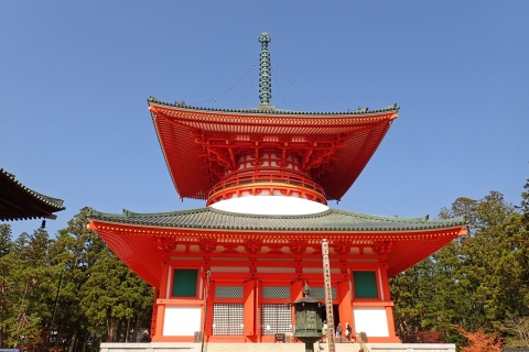 Von Osaka aus: Mt Koya Private Wander- und Zug-TagestourPrivate Tour