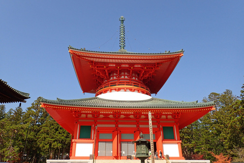 Van Osaka: Mt Koya Private Walking and Train Day TourPrivé rondleiding