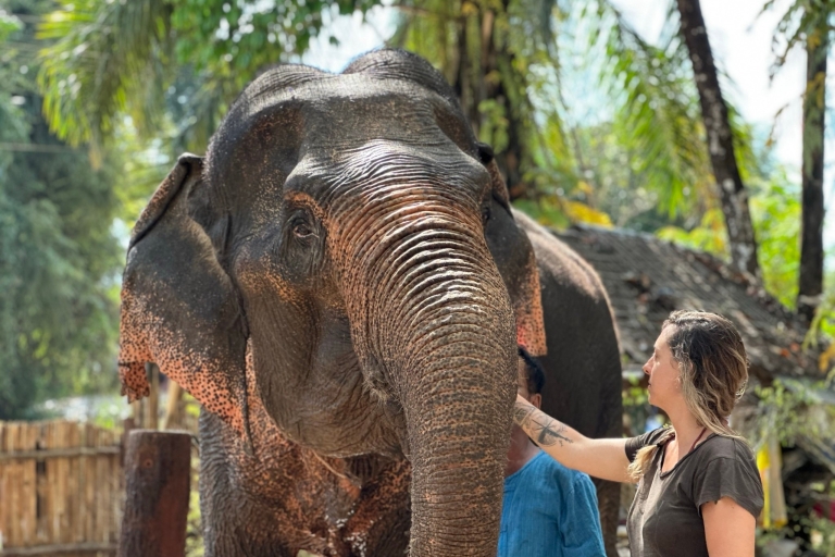 Krabi: Highlights Tour met Krabi Elephant Shelter