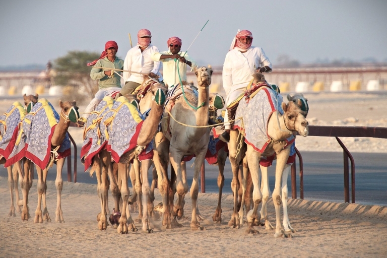 Combo Sheikh Faisal Museum And Camel Race Track.