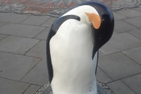 Dundee, Self-Guided Audio Walking Tour - Housity