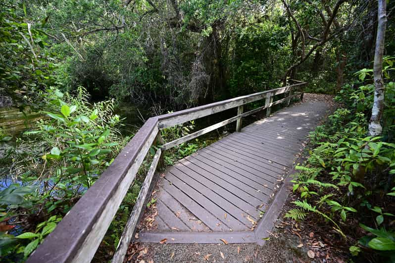 Parco Nazionale Delle Everglades Tour Guidato Autogestito Con