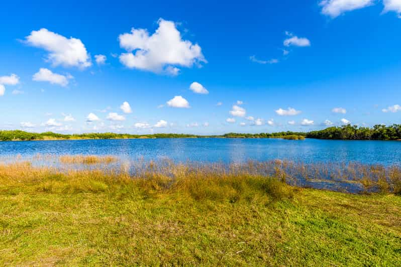 Everglades National Park: Self-Guided Driving Audio Tour | GetYourGuide