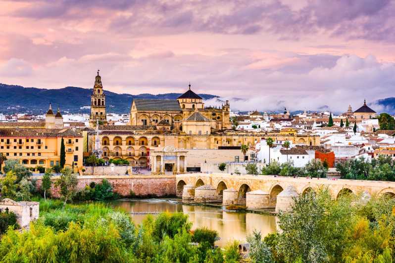 Da Malaga: gita di un giorno a Cordoba con biglietti per la moschea-cattedrale