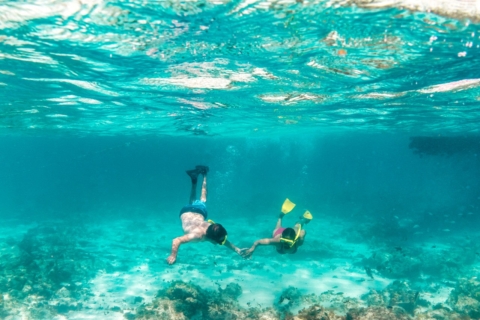 Sharm El Sheikh : Ras Mohammed snorkeling sea tour by boat