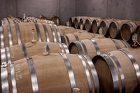 Privé halve dag Txakoli Wine Tour & Getaria vissersdorp - Housity