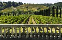 Privé halve dag Txakoli Wine Tour & Getaria vissersdorp - Housity