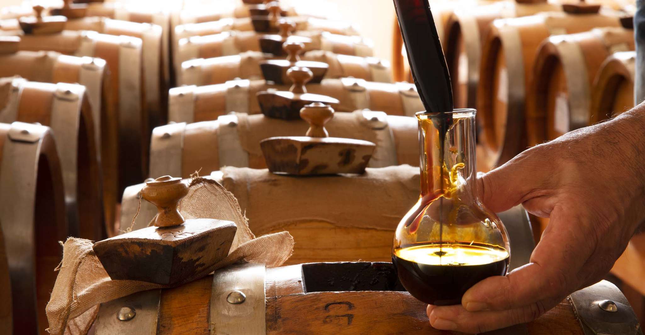 Módena, visita guiada a bodega balsámica - Hizvo