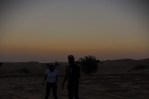 Doha: Night desert safari sea line, inland sea & camel ride Standard Option