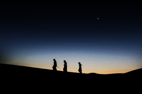 Doha: Safari nocturno por el desierto por mar, mar interior y paseo en camelloOpción Estándar