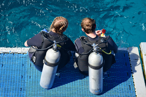 Från Pattaya: Snorkling eller nybörjartur i dykning