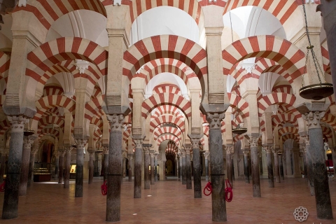 From Málaga: Cordoba Full Day Trip with Mezquita-Cathedral