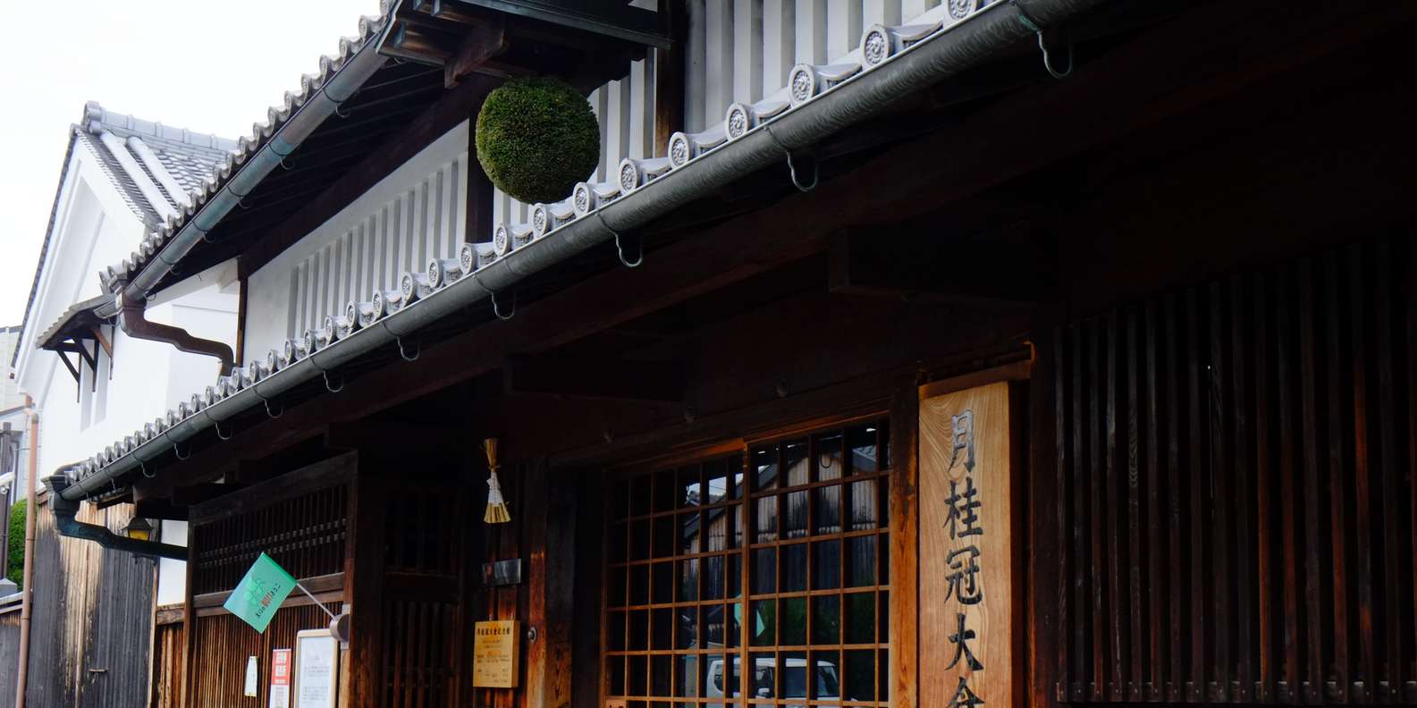 Kyoto experience — temples, geisha, bamboo grove — image 8