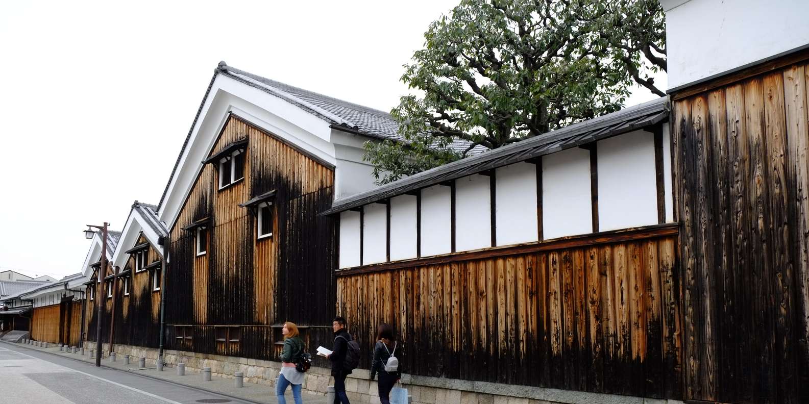 Kyoto experience — temples, geisha, bamboo grove — image 6